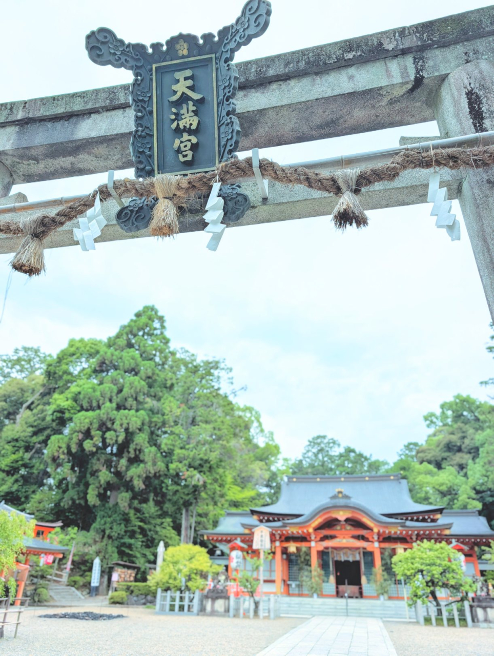 7月🎋ですね✨