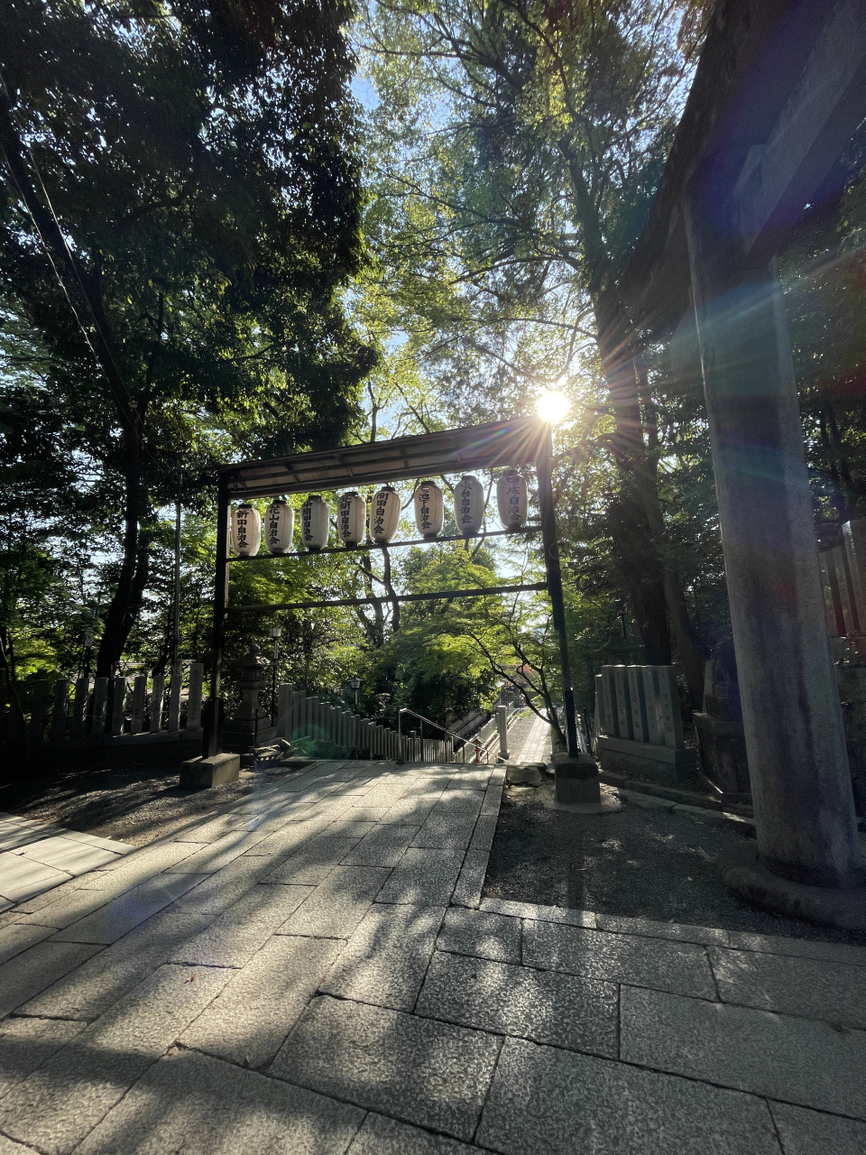 5月🍀GWですね🚗