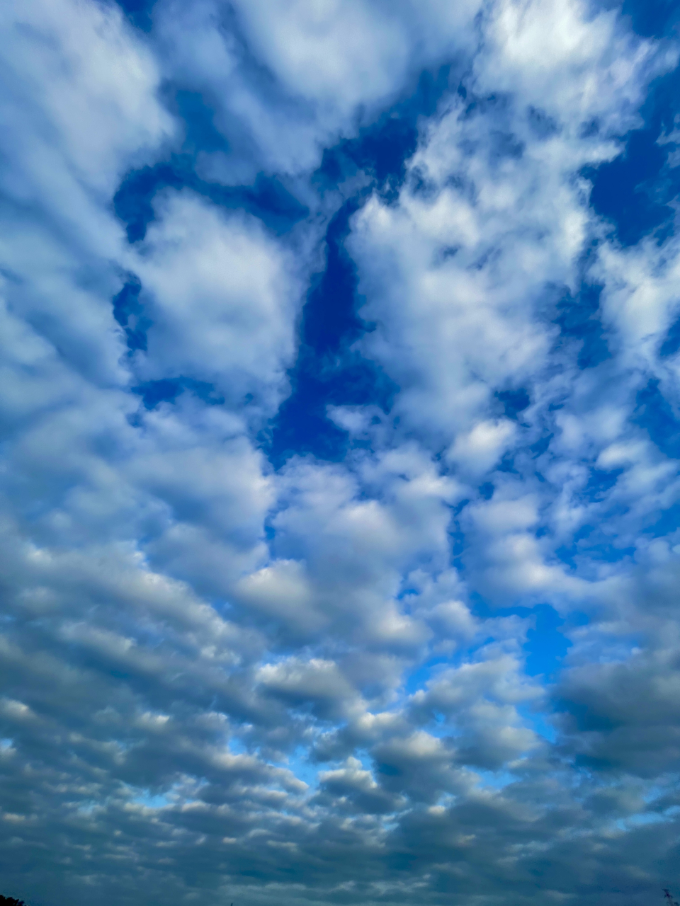 空～Sky～
