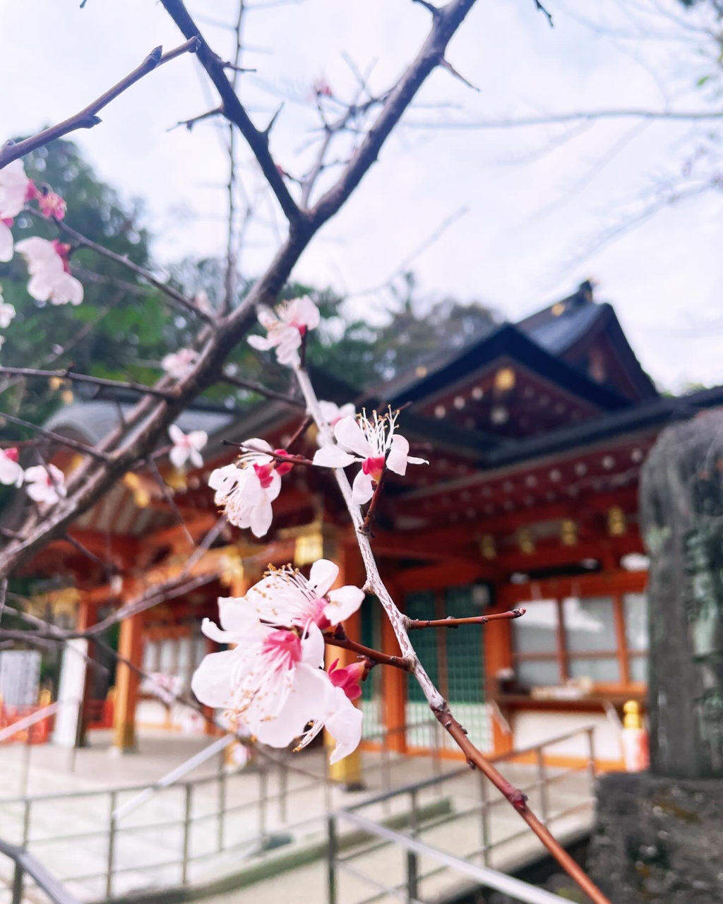 4月になりました🌸