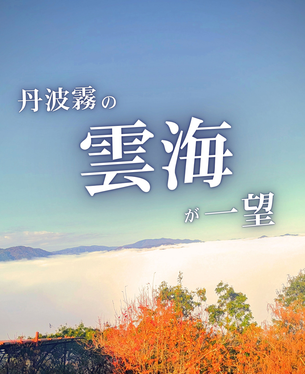 ✨🌫️雲海スポット🌫️✨