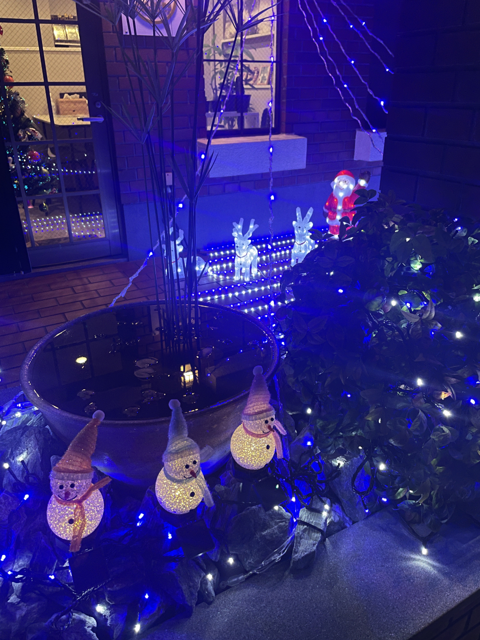 EMILUS不動産　Xmasイルミネーション